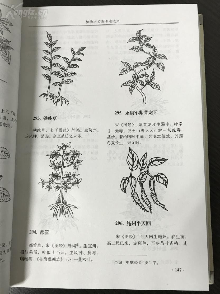 番荔枝要人工传粉吗,番荔枝来自哪里