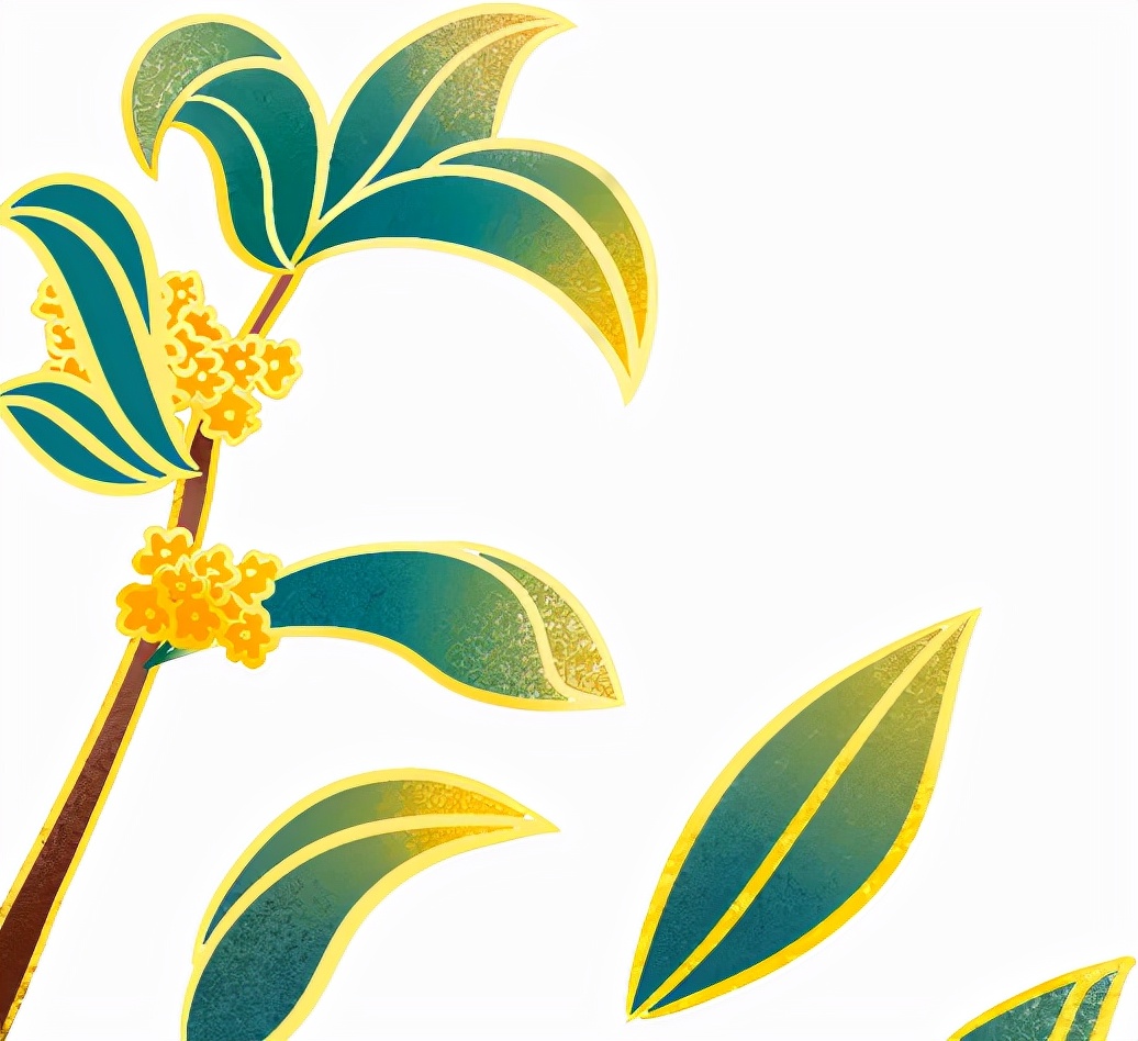 安吉慢谷洋房最新信息,湖州安吉慢谷