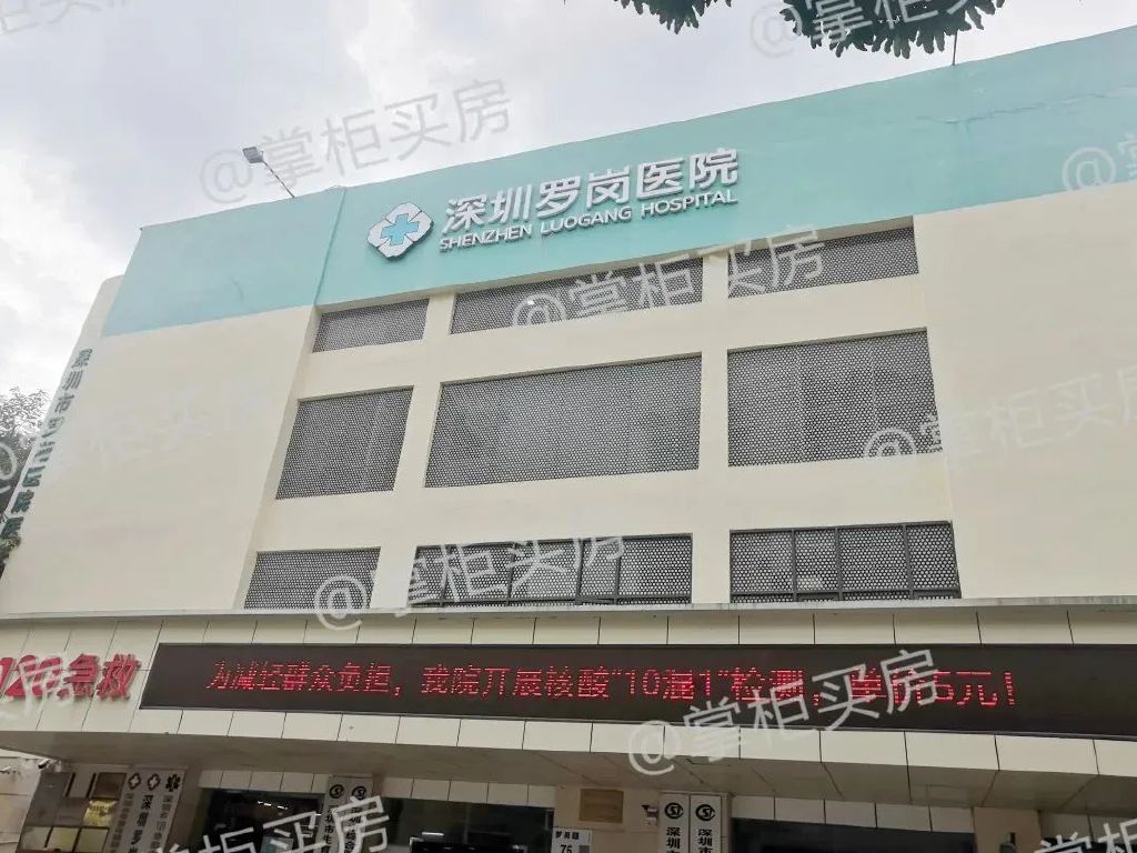 坂田十大学区房,深圳龙岗坂田新盘