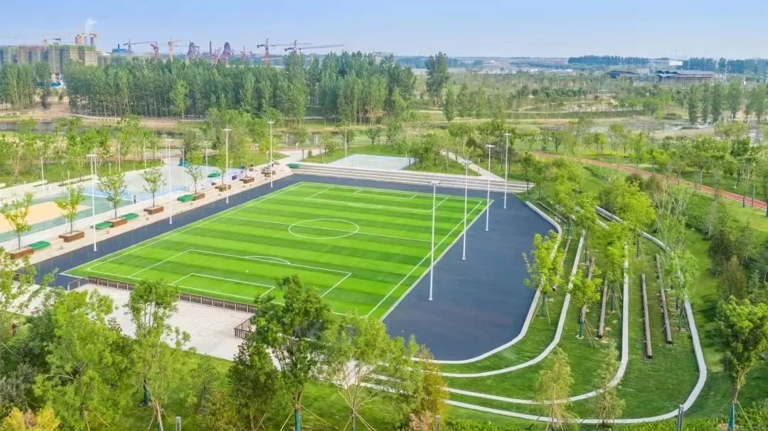 长葛籍冠军,近150名运动员参加比赛角逐