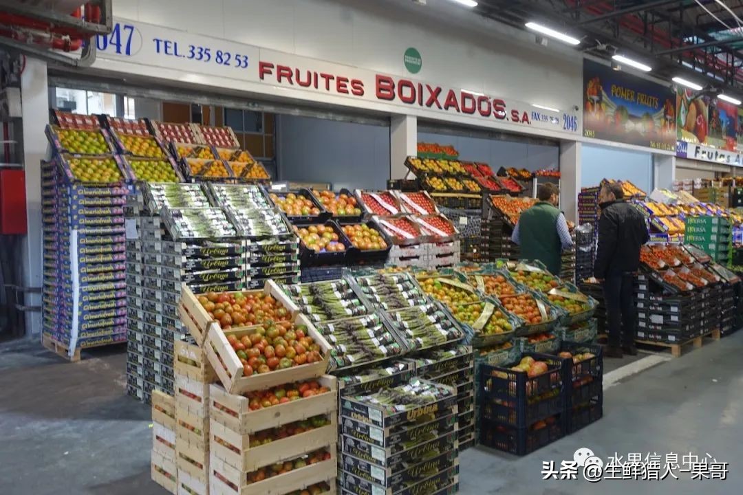 中国十大果蔬批发市场,全国十大蔬果批发市场
