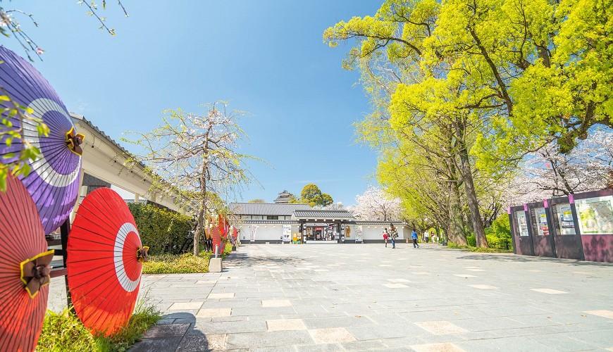 2022年日本北陆赏樱景点推荐,樱花季日本小众赏樱之旅