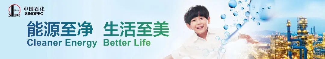 中石化新能源汽车充电桩,中石化加装新能源充电桩