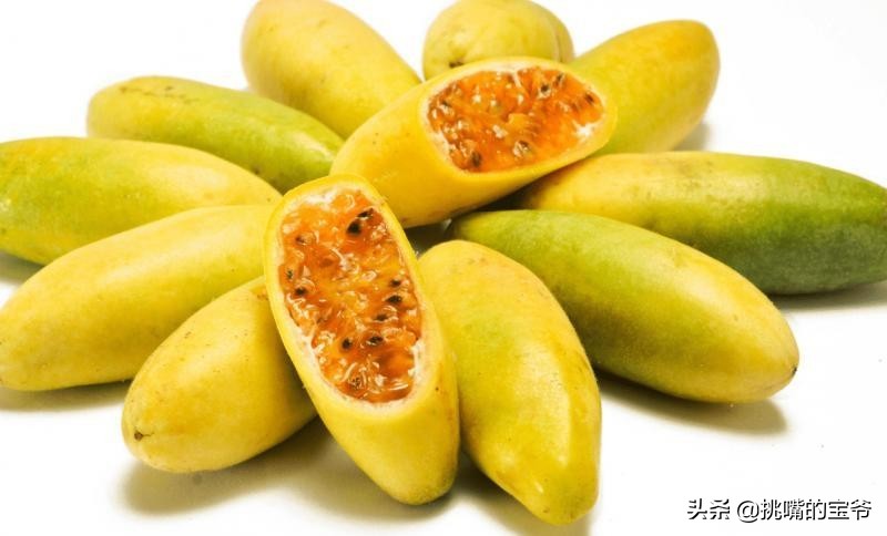 坐在赤道上，气候似云南的南美小国，数百种水果让人口水不断