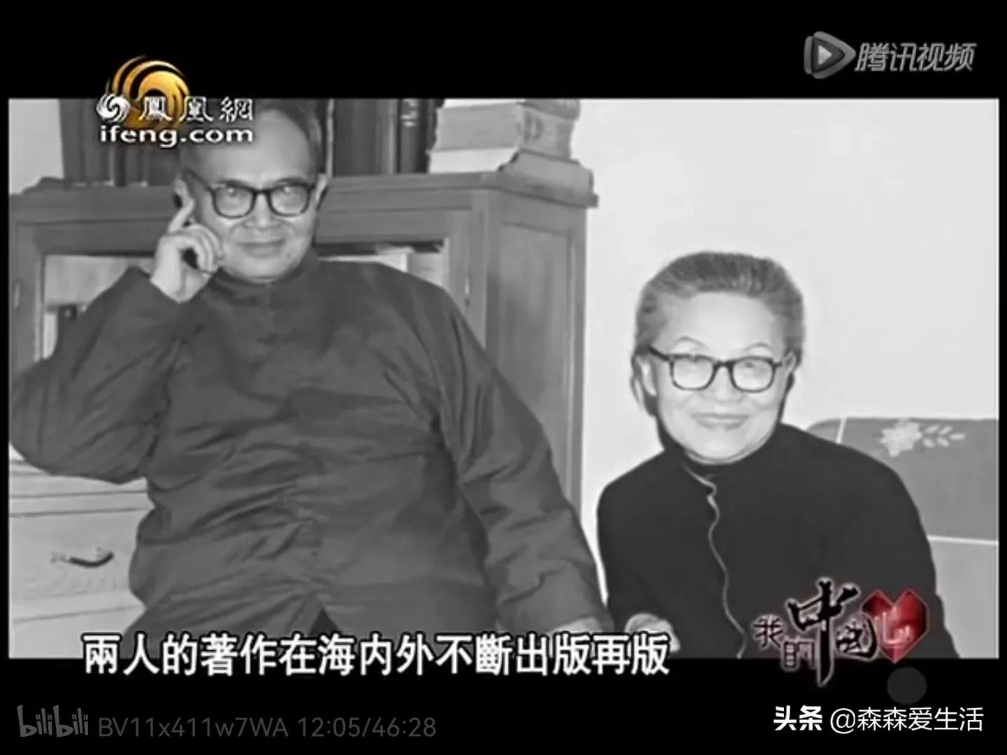 司马南说知识分子杨绛,司马南说杨绛先生