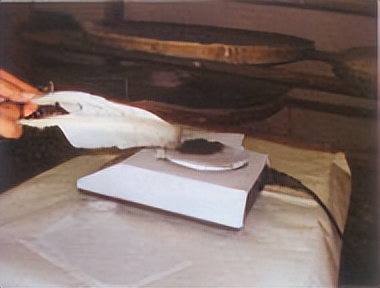 飞蚁防治小妙招,收获蚁怎样保产