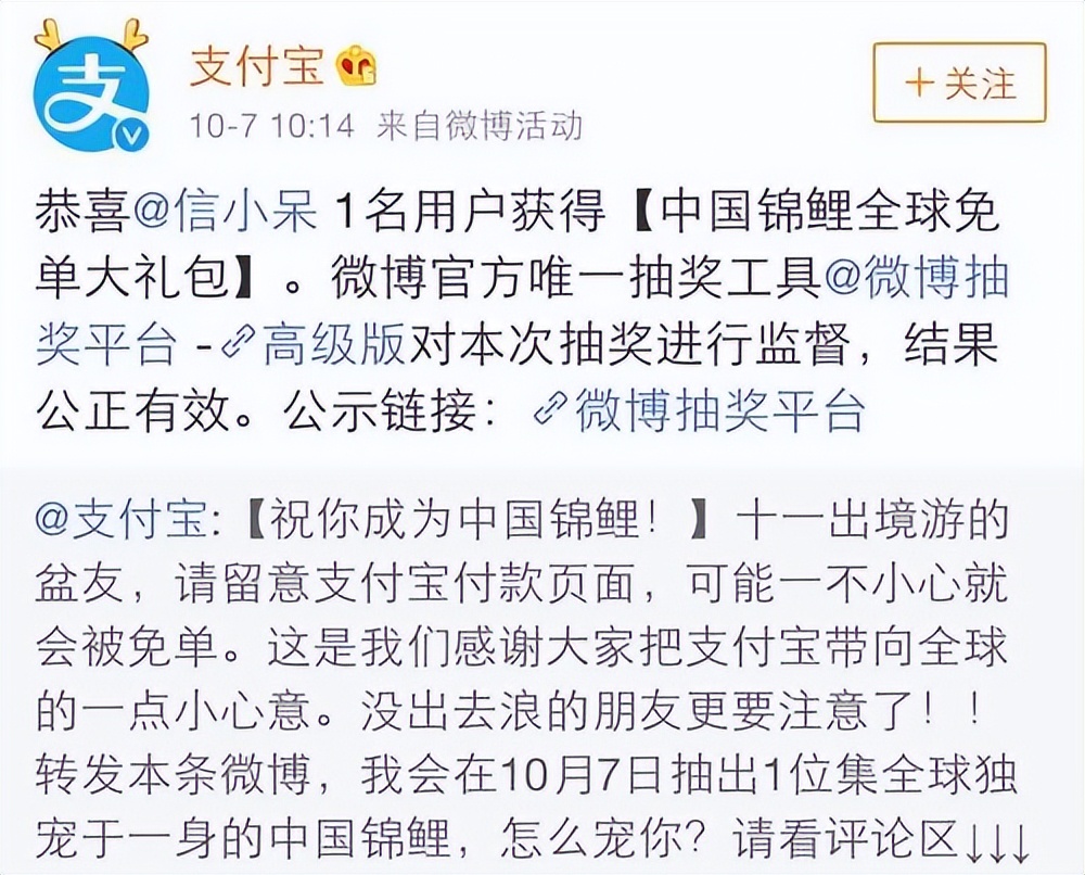 被支付宝一亿砸中的信小呆：辞职后游遍全国，刷爆信用卡生活堪忧