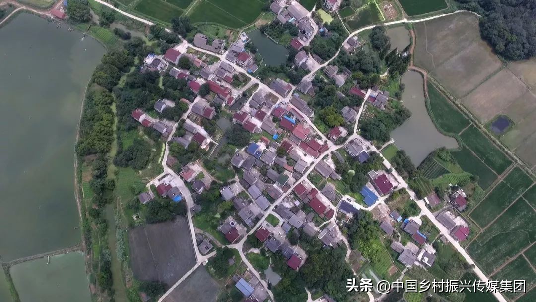 2022乡村振兴扶持项目方案,2023年乡村振兴项目补贴申报指南