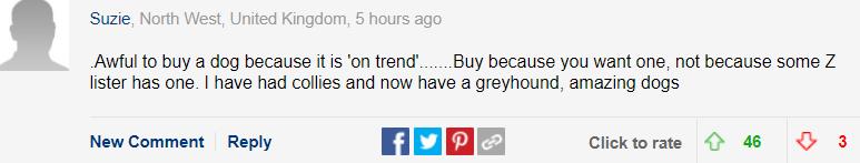 巴哥犬最大的特点,巴哥犬最令人头疼的5大缺点