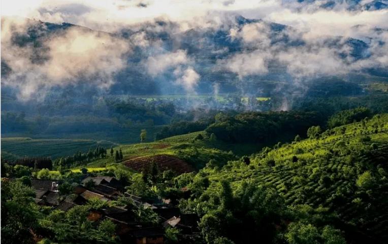 八角亭昔归普洱茶价格表,茶山行普洱茶