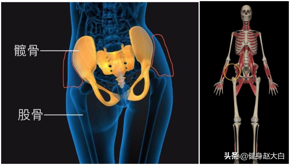 胸部和肩部训练,上胸和肩部分离度训练
