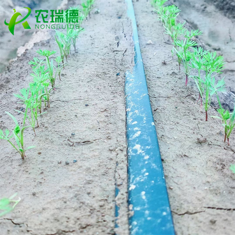 唐山种子编织机推荐,小粒种子精播机