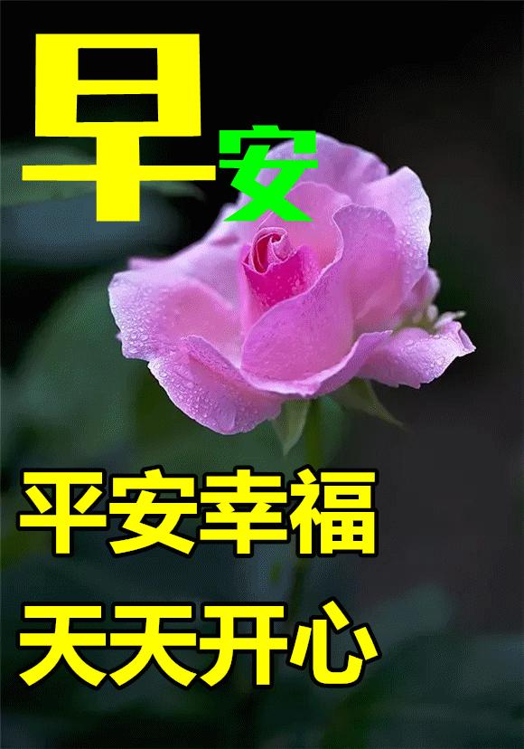 早安动态图片最新暖心,早安动态图片暖心