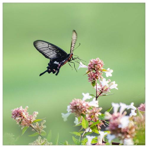 开门店做生意没人怎么办,开店做生意没有顾客怎么办