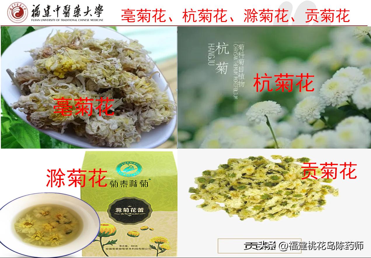 28味解表中药的性味与功效,麻黄性味辛温故能解表散寒