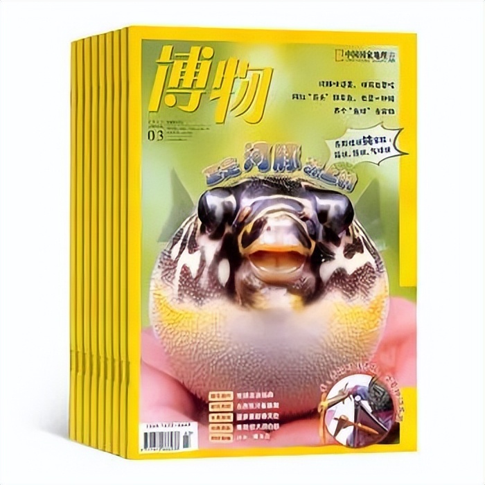 小学生暑假必读分级课外书目录,2024年寒假小学生必读书目