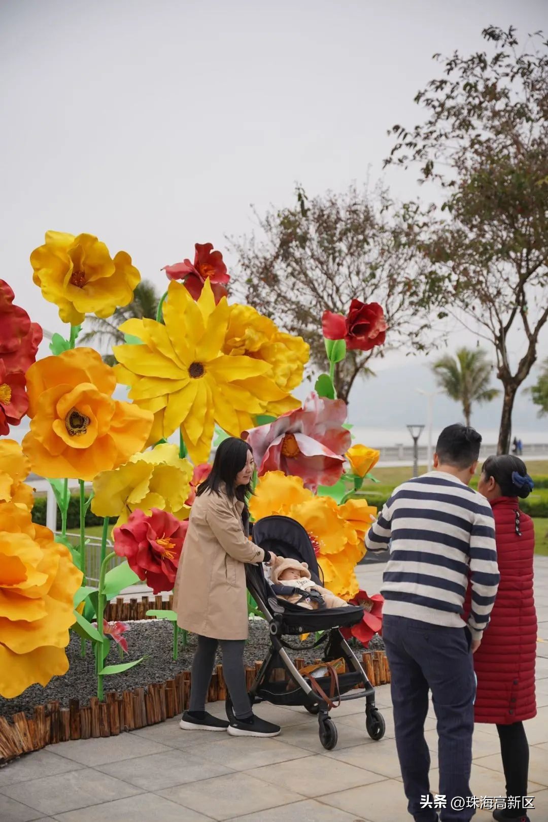 迎春花市亮灯仪式,珠海高新区迎春花市时间表
