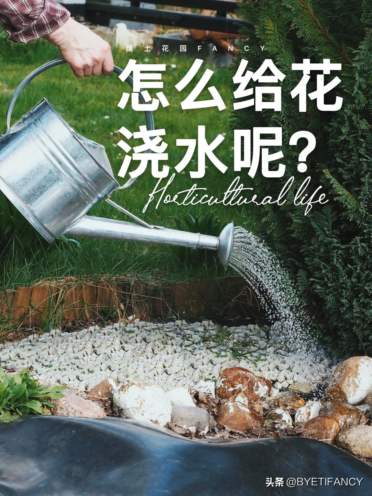 小红给花浇水,冬季怎样给花浇水