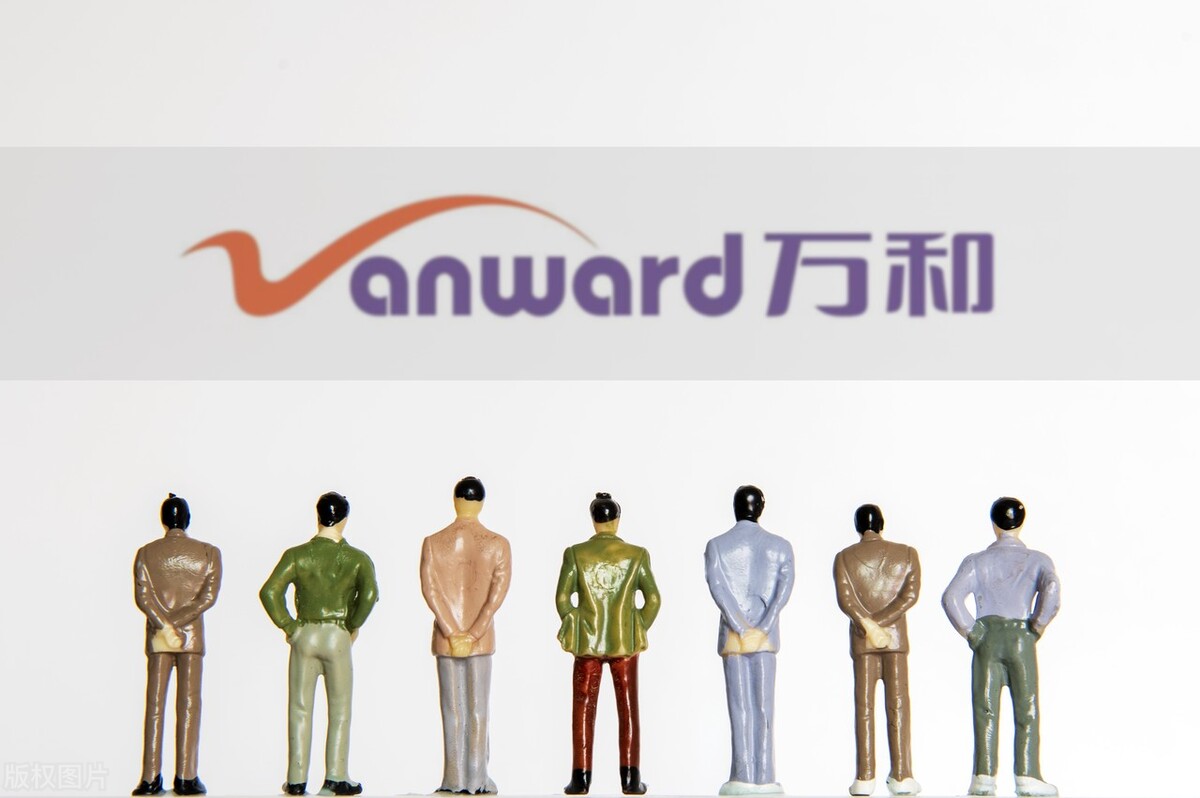 被低估的十大科技龙头,被严重低估的十大龙头股名单