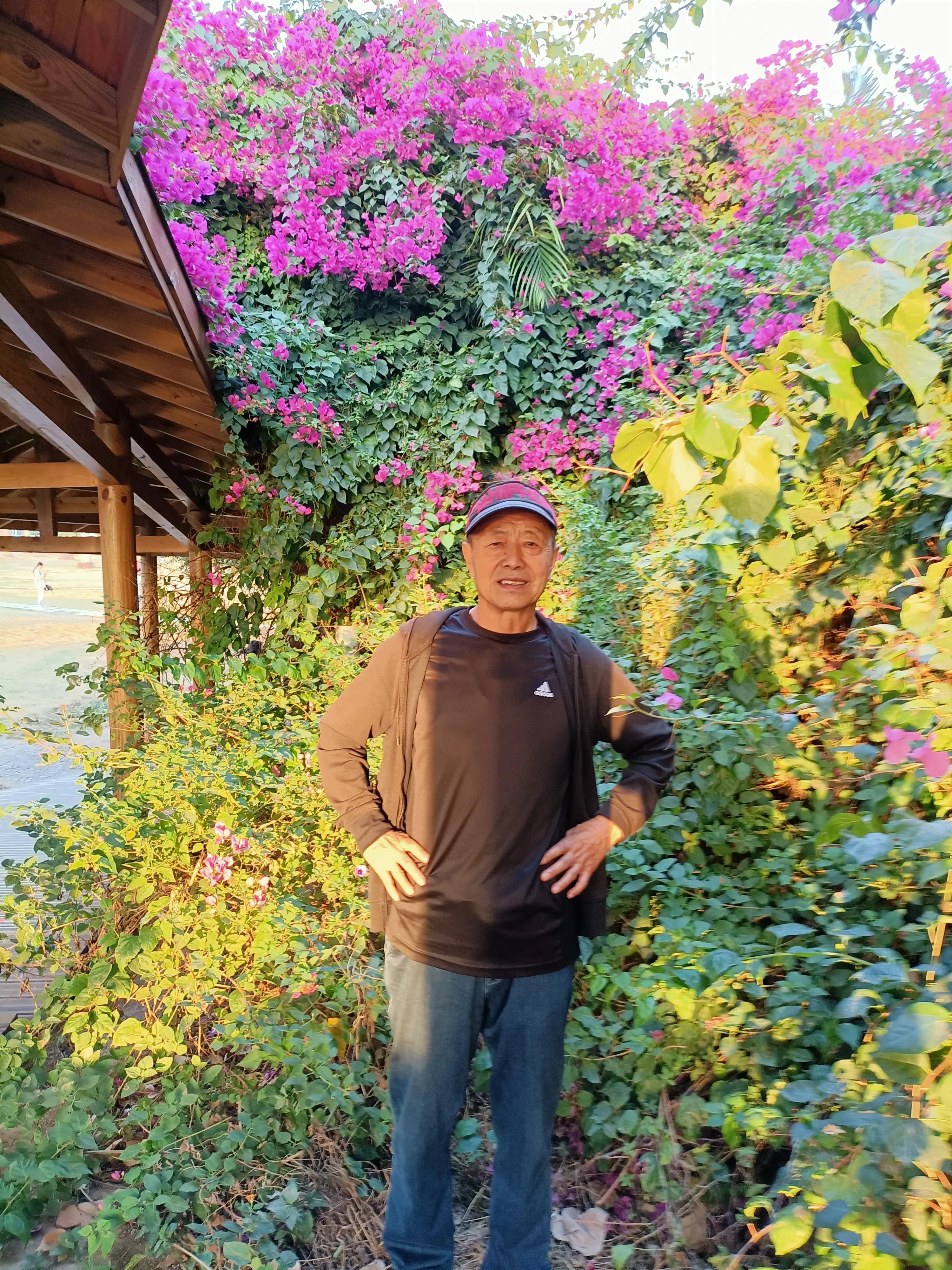 厦门海滨镇旅游攻略,海滨城市厦门简介