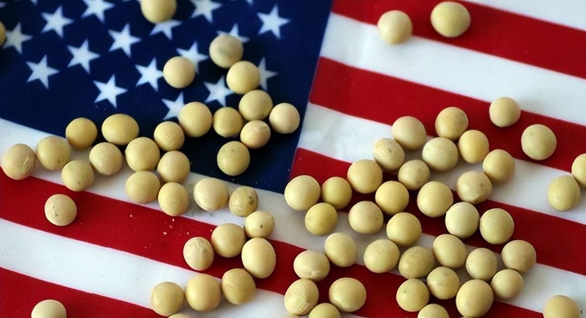 老美出口粮食视频,老美粮食计划