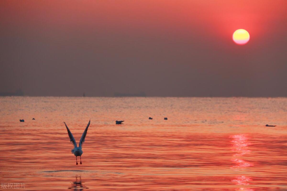 激励人生精辟句子简短搞笑,激励人生精辟句子简短