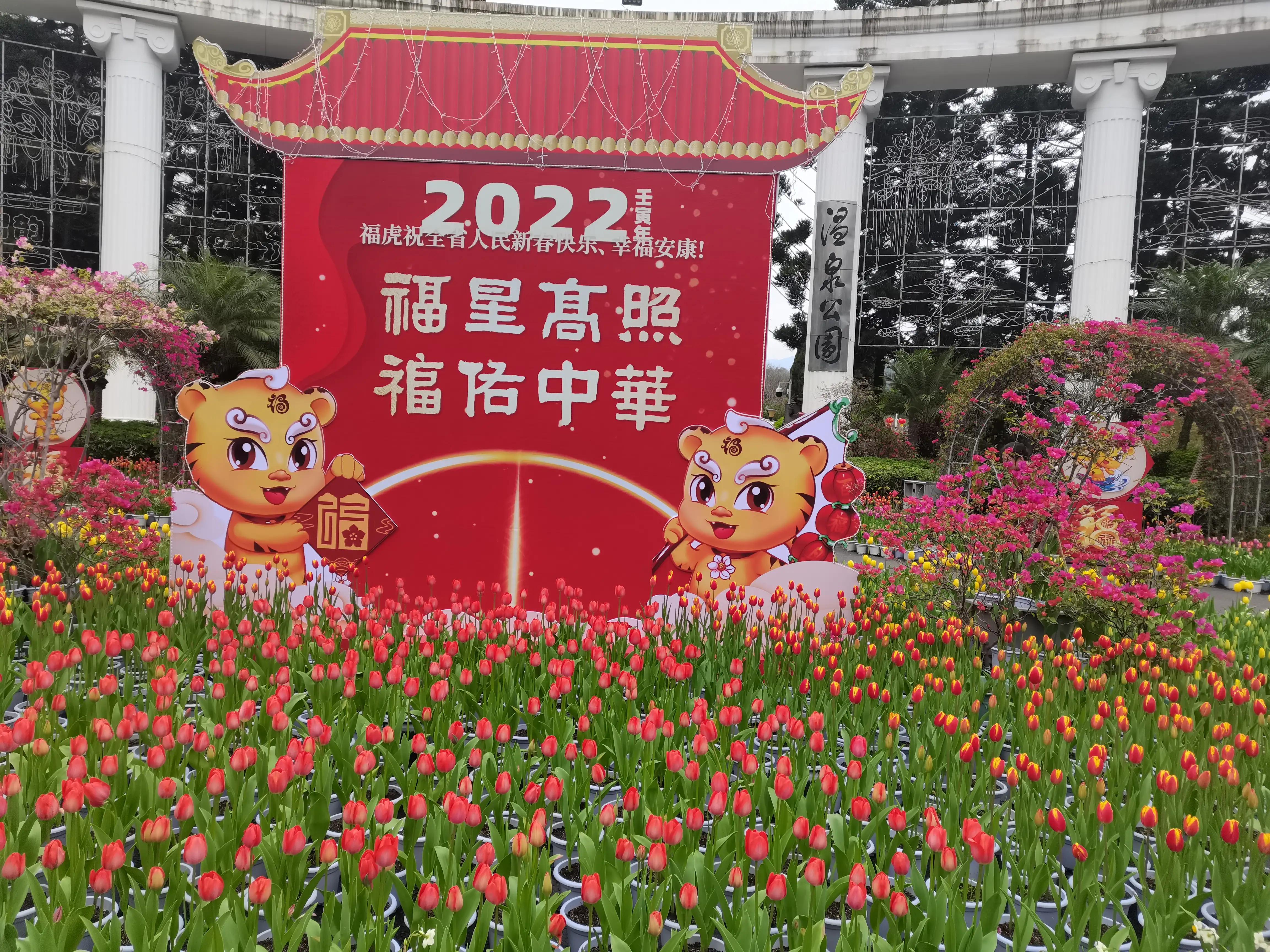 福州郁金香温泉公园,福州花海公园郁金香