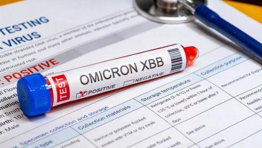 新毒王来袭日本,新毒王现身