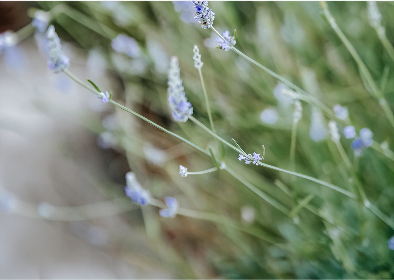 考研要不要报班学长大胆讲真话,考研要不要学长学姐