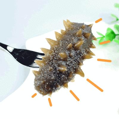 用海参下脚料造假海参 (造假的海参和真海参)