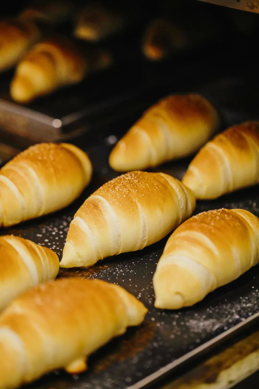 “面包脑袋的天堂，藏在东山口博物馆里”