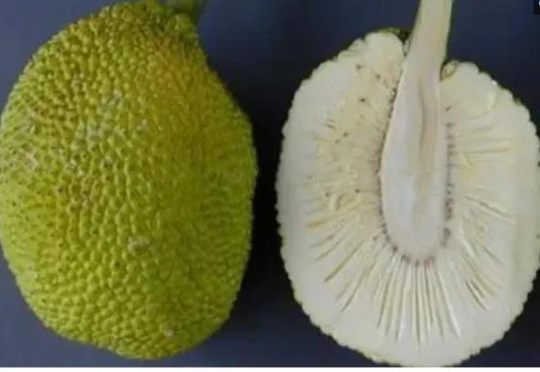 100多种罕见水果欣赏,100种罕见水果名字