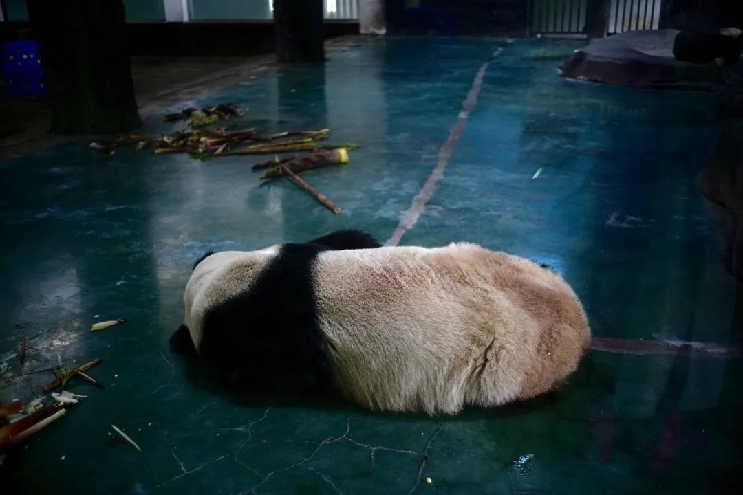 浙江市区度假酒店推荐,浙江轻奢酒店值得推荐