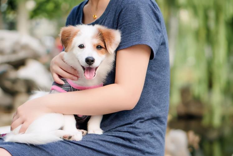 男子腹部痒,医生用镊子夹出16只阴虱!原来阴虱的传播途径有4个