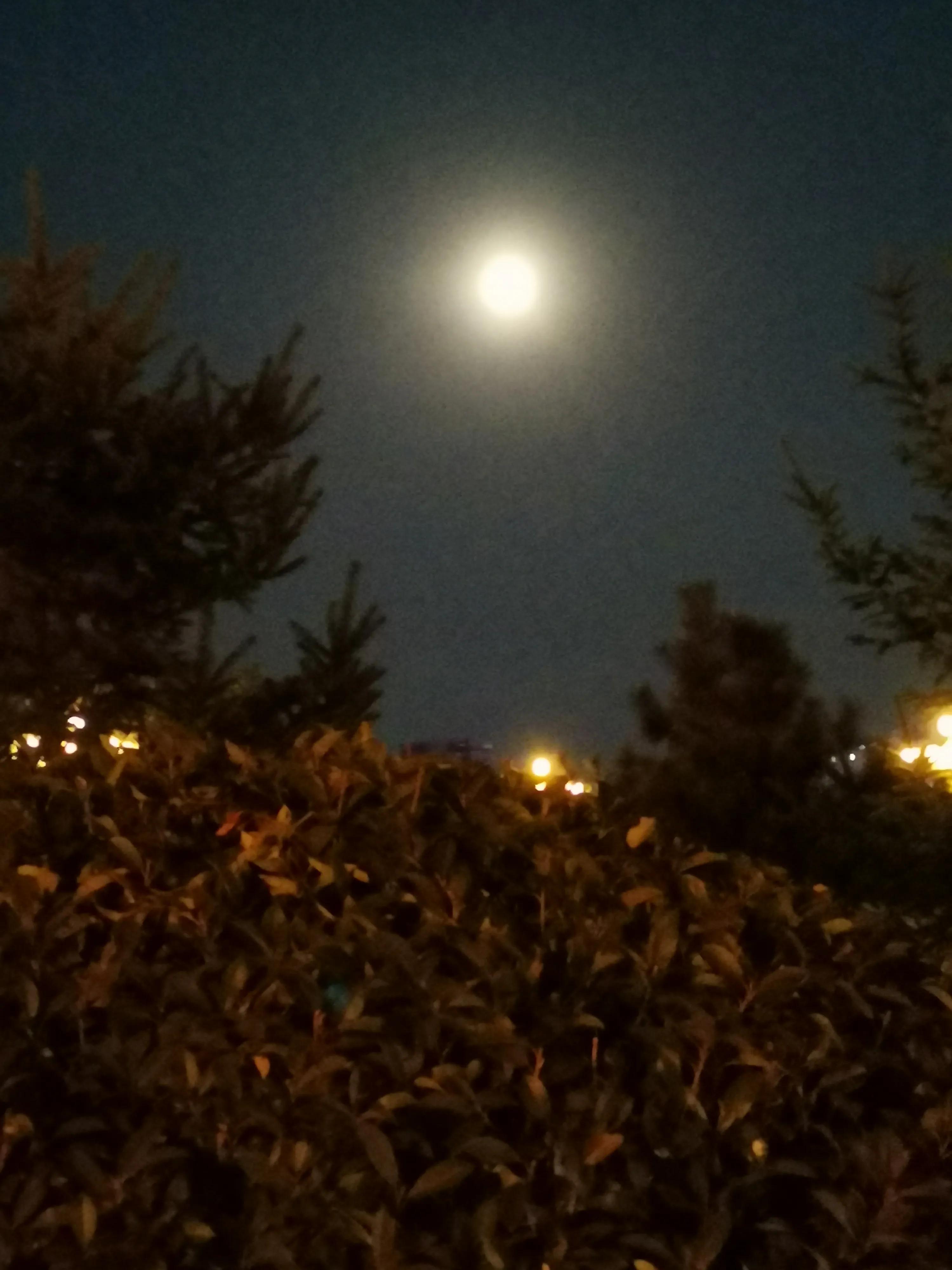 分享你拍下的最美月亮,中秋最美的月亮发朋友圈