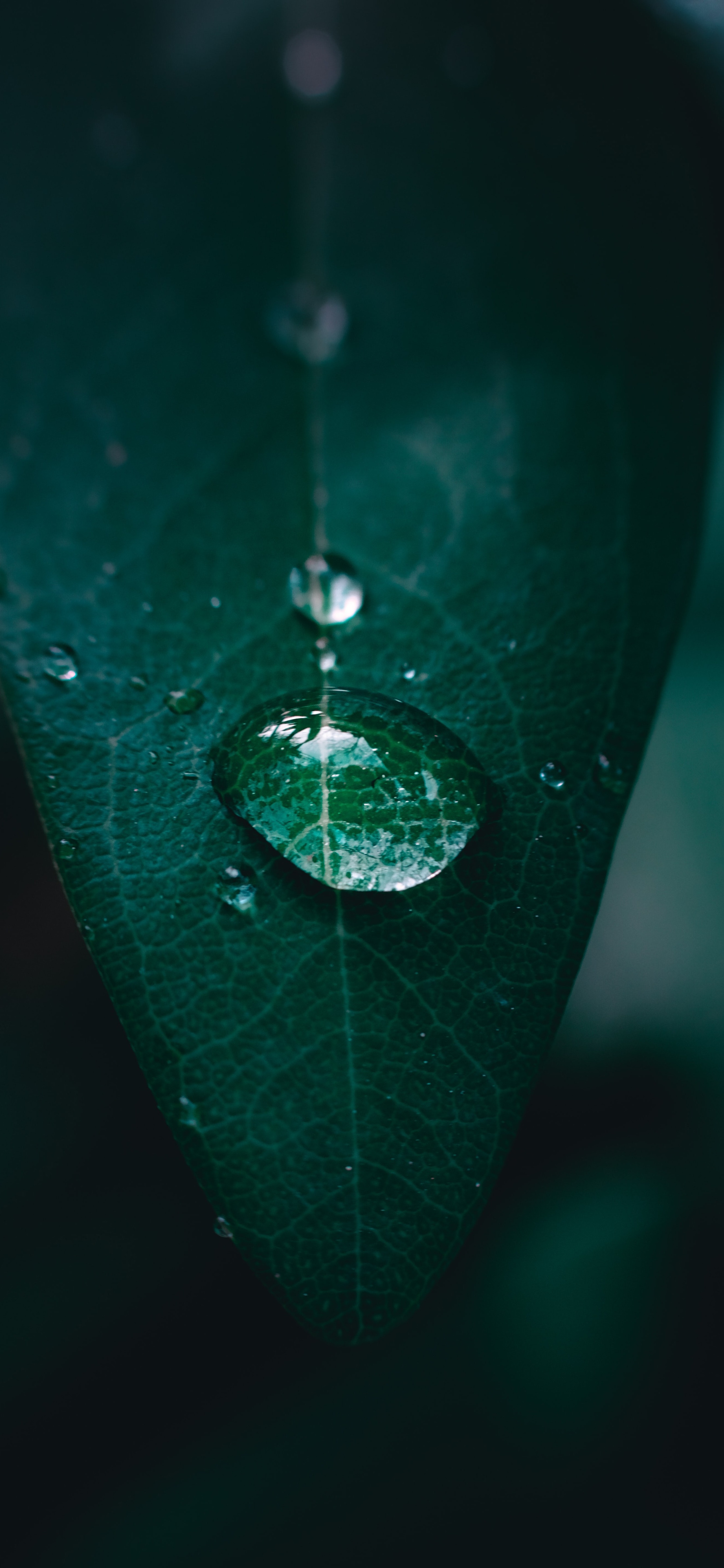 壁纸护眼好看的高清壁纸,华为壁纸绿色护眼图片大全高清