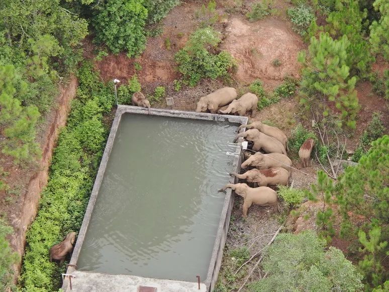有一种叫云南的生活,有一种生活叫云南的生活