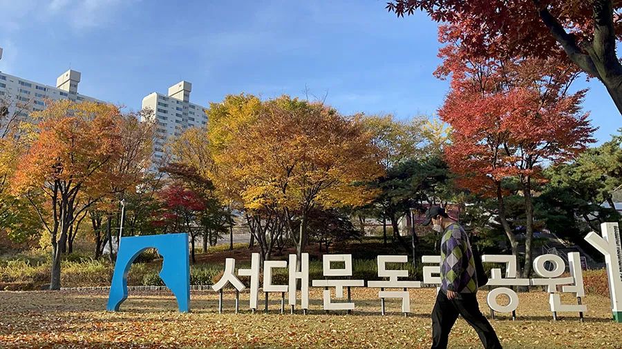 来首尔旅游,来首尔都会逛的东大门