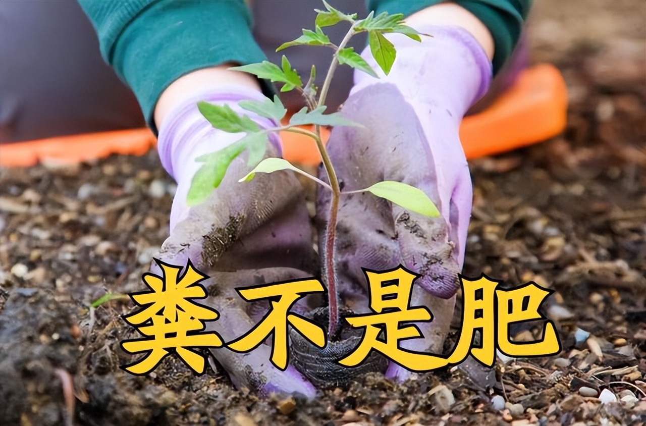 粪是不是氮肥,粪和肥料有什么区别