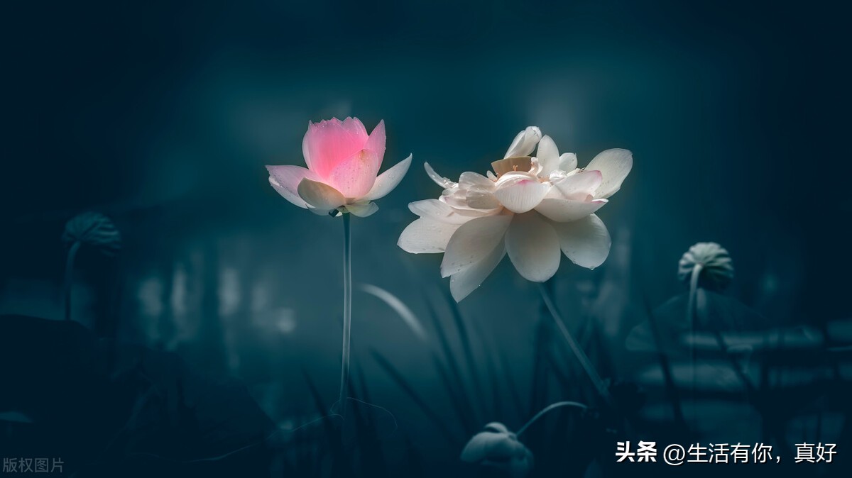 最新潮的赚钱路子,少走弯路高效赚钱方法