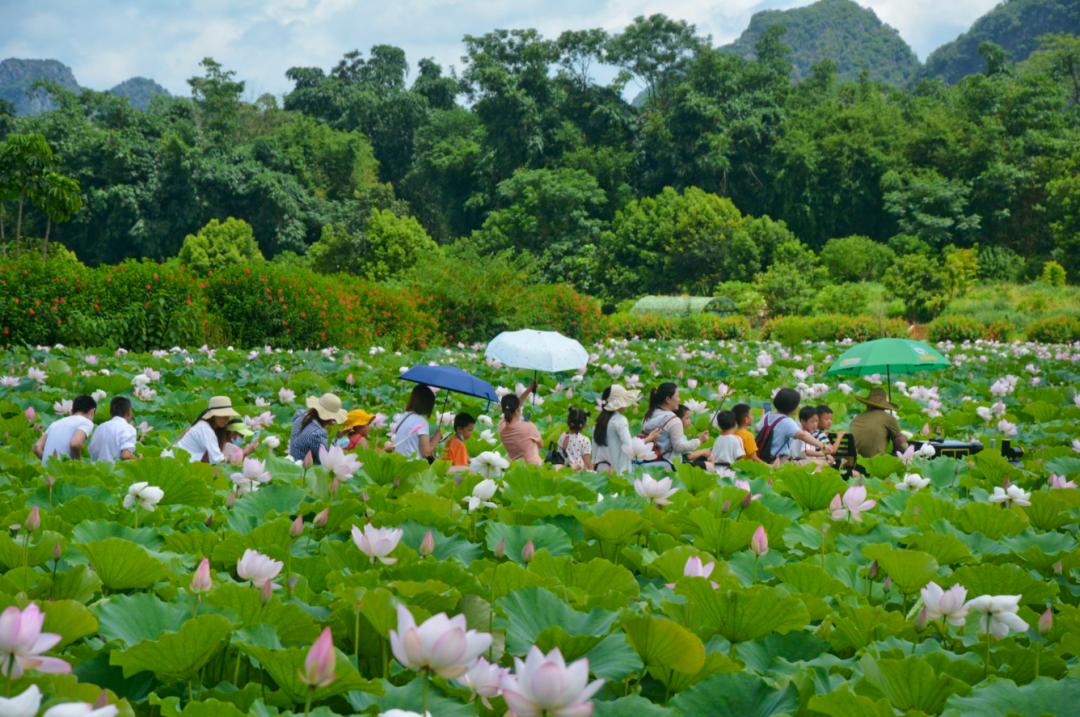 广州清远一日游必去景点,清远宝墩湖附近旅游攻略