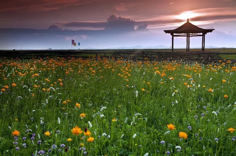张北草原天路风景,张北草原天路路线