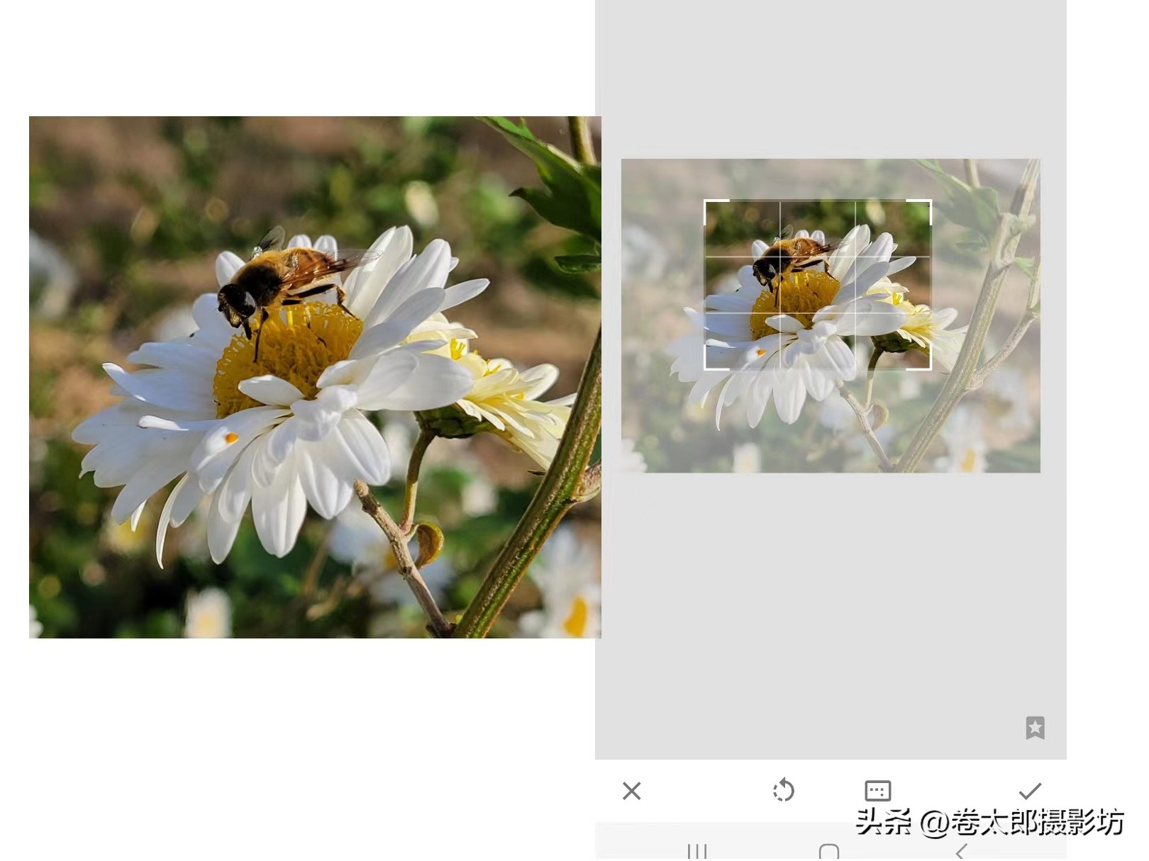 无后期不摄影教你手机修图速成,手机拍照后期怎么修图好看