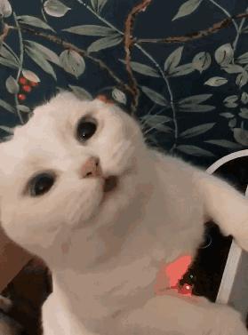 生活里也有乐趣,我们的生活有哪些乐趣呢