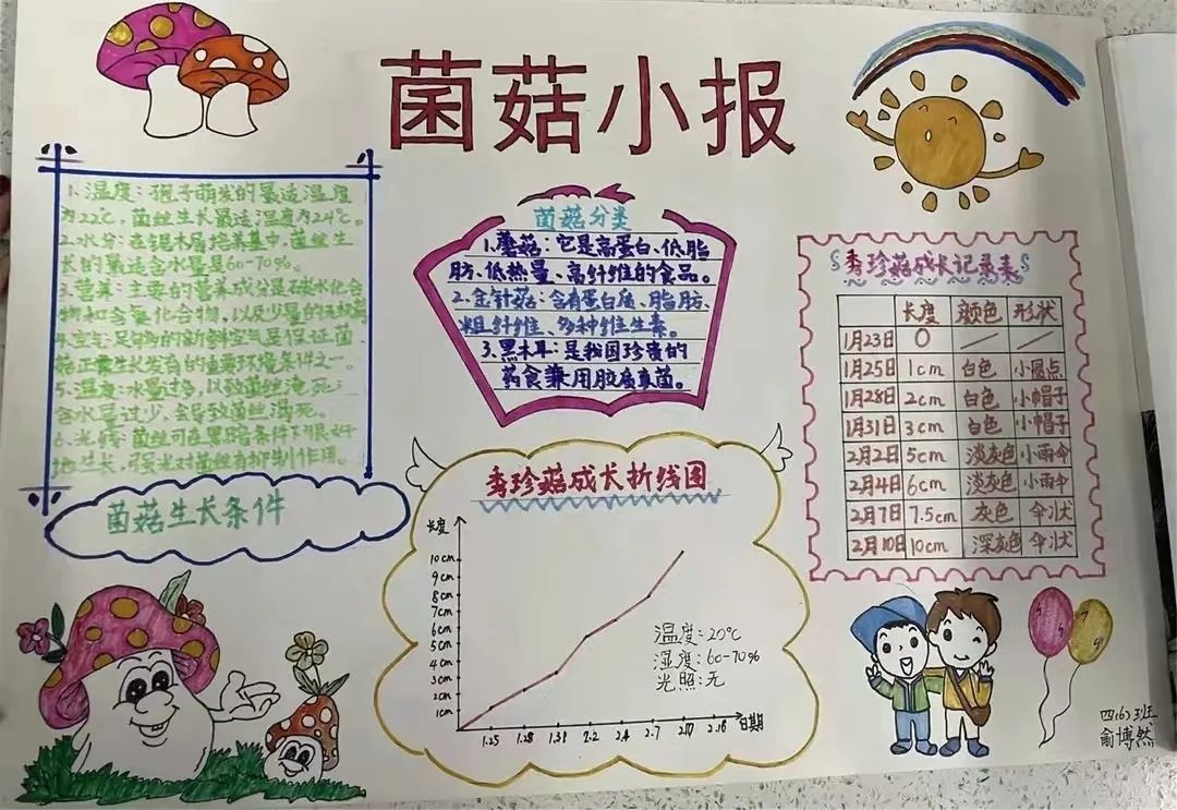 南师附中新城分校有哪几个,南师附中新城小学南校区与北校区