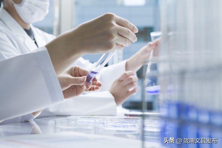 青蒿素抗癌的最新研究,日本研究出青蒿素可以治疗癌症