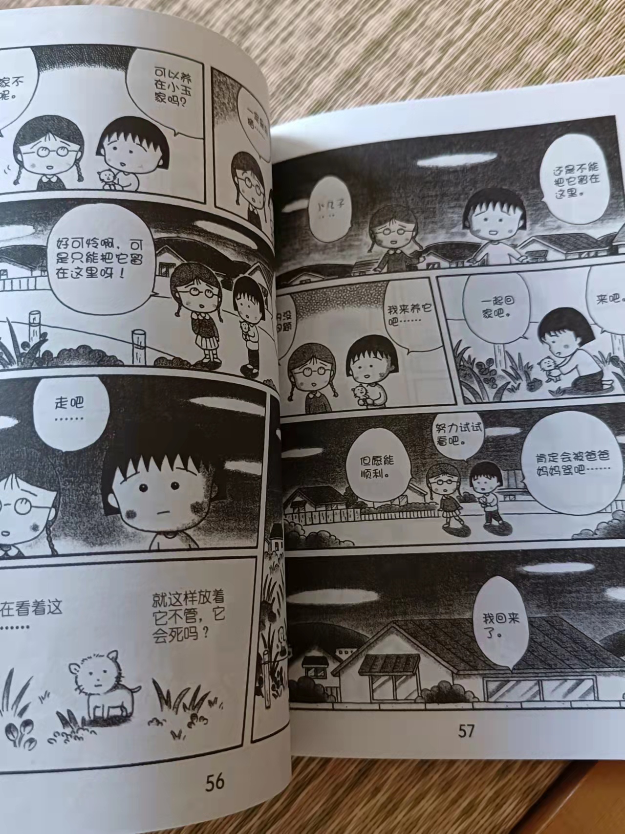 樱桃小丸子之来自意大利的少年,樱桃小丸子漫画全套