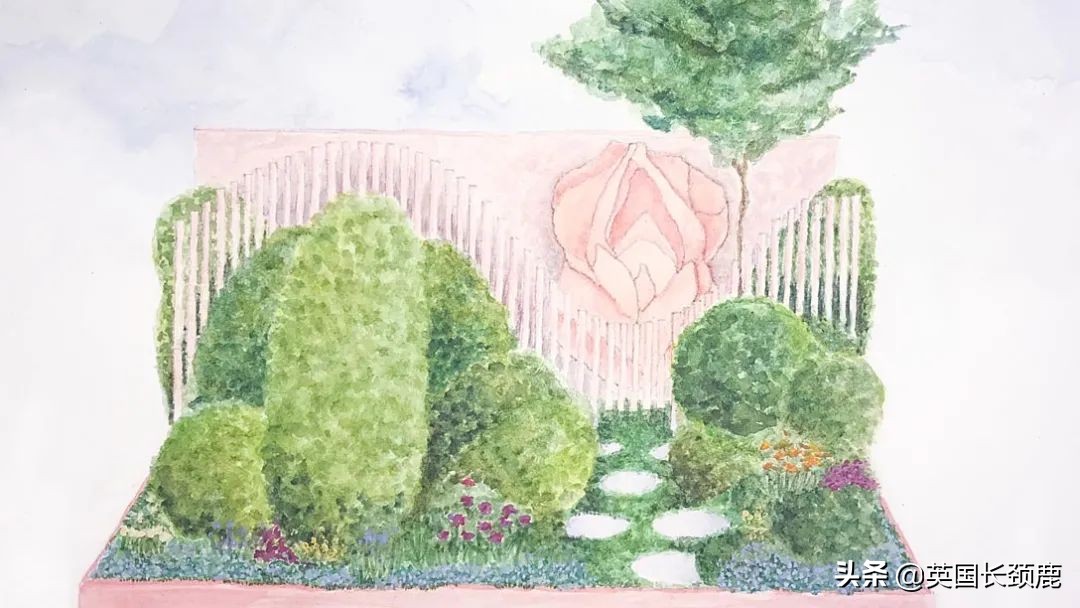 2020年切尔西花展抢先看,2023年切尔西花展