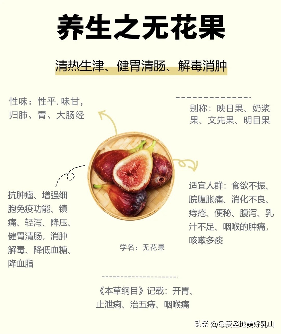 乳山一片海无花果,品味山海乳山
