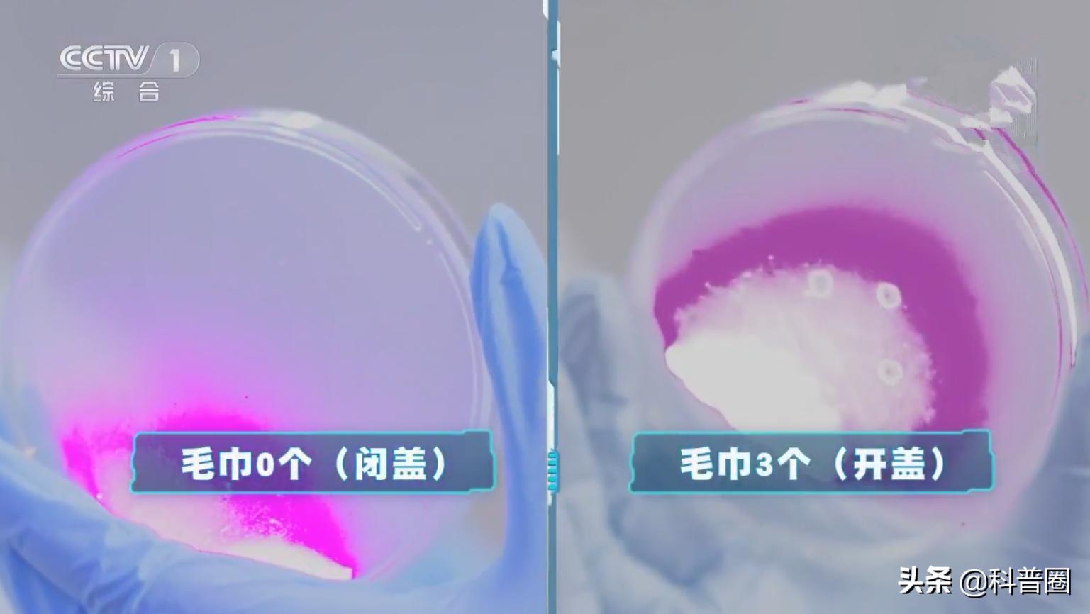 冲马桶时要不要盖盖子央视辟谣,冲马桶盖盖子和不盖盖子对比